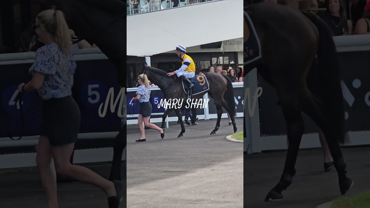 Mary Shan defeats El Vencedor with a storming finish in the Challenge Stakes at Ellerslie
