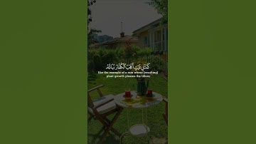 سعد الغامدي سورة الحديد اجمل حالات واتس اب دينية