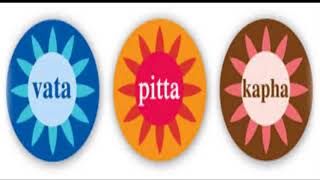 Documentory   T  AYU HM