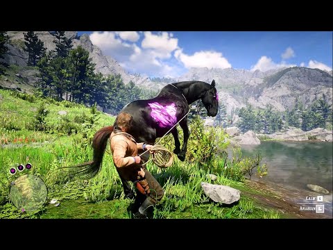 ARTHUR CATCH A