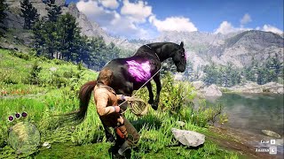 ARTHUR CATCH A BEAUTIFUL CHAROITE HORSE - RDR2 | GAMEPLAY screenshot 3