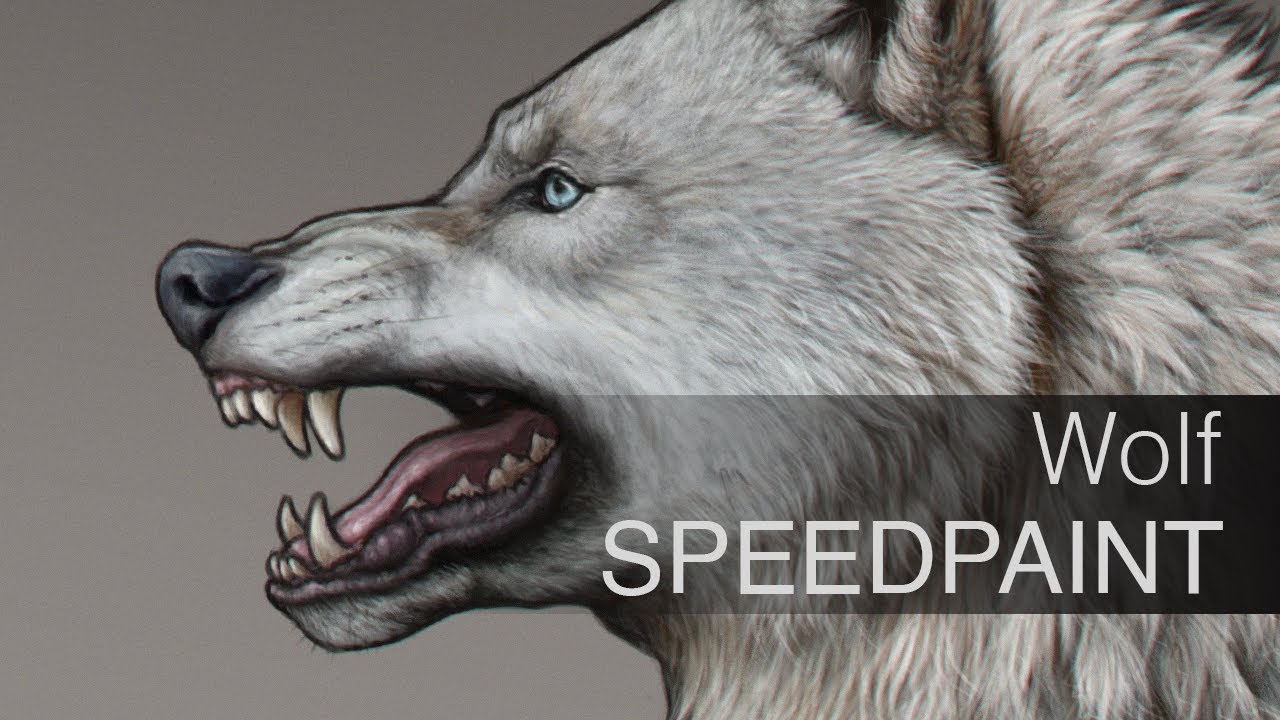| SPEEDPAINT | Wolf - realistic portrait - YouTube