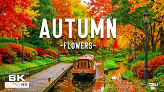 Autumn Flowers 8K 🍁🌸 Golden Blooms, Cozy Gardens & Peaceful Fall Beauty screenshot 3