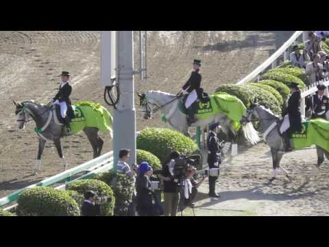 2017 第29回 かしわ記念（ＪｐｎI）本馬場入場 現地映像 コパノリッキー