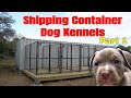 Shipping container dog kennel build caonabullys part 1