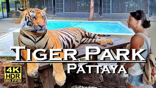 Tiger Park Pattaya 4K 60fps HDR  UHD Dolby Atmos 💖 Walking Tour 👀 Thailand 🇹🇭