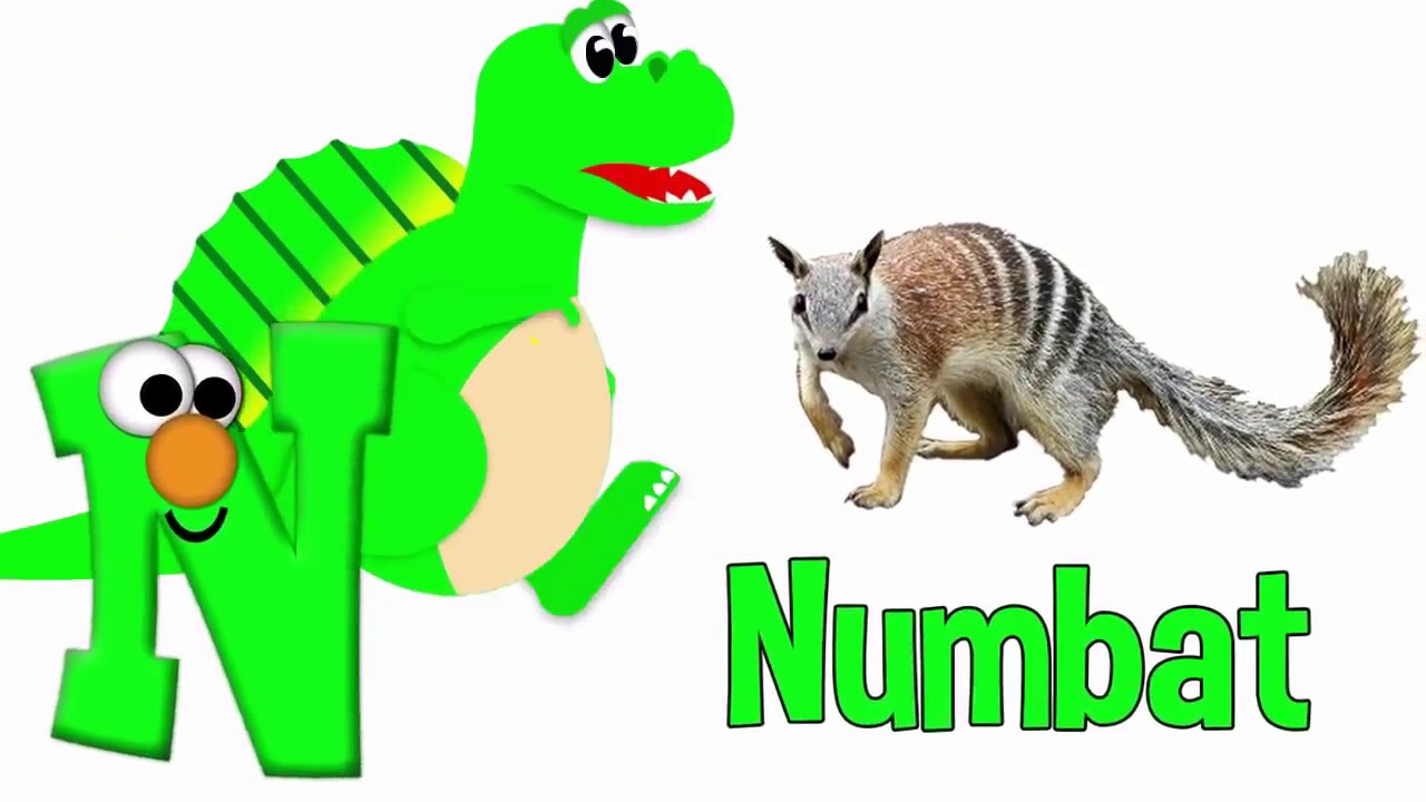  Animal Alphabet Song  2 YouTube