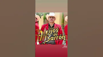 Niegame hijos de barron #shorts #cancionesromanticas #musicasierreña #niegame #hijosdebarron