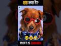 छठ क्या है?🤔 Khesari Chhath Video Comedy Video
