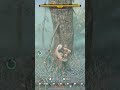 Most Important Early Items in Enshrouded #enshrouded #gaming