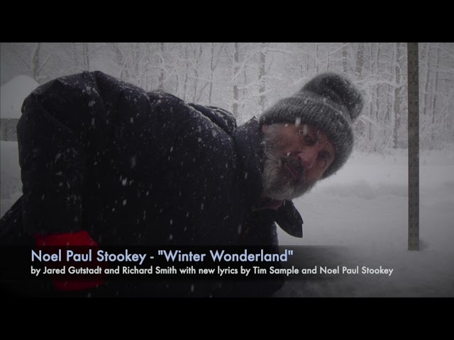 Noel Paul Stookey - Winter Wonderland