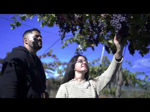 Cortijo El Cura Finca y Bodega Ecológicas