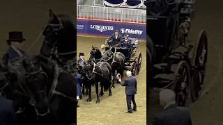 Stonecreek Friesians Jordan Steenbeek, Green Meadows Four Carriage Driving Royal Fair Horse Show