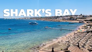 Shark's Bay - Sharm El Sheikh - خليج القرش شرم الشيخ