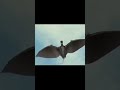 Godzilla: Destroy All Monsters Melee Xbox Trailer  #gaming #retrogaming #xbox #ogxbox #xboxclassic