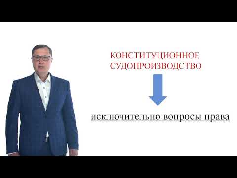 Конституционный судебный процесс. Тема 2