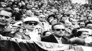 Prince Rainier and Princess Grace witness a bullfight in Majorca Island HD Stock Footage