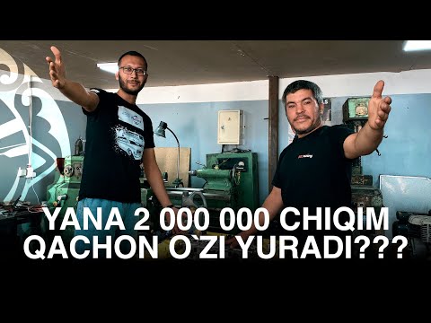 Video: Itni hidlang: itlarning boshpanasidagi ijodiy reklamalar