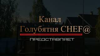картинка: Ижевские, пермские, мордовские голуби. Полёты 10.08.2023.