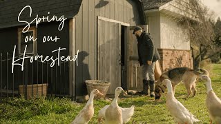 #16 Peaceful Countryside Vlog | Early Spring Days on our Farm