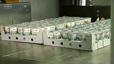 Palletizing Dairy Products