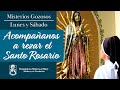 Pray the Rosary IN SPANISH | The Joyful Mysteries | Sisters of Mary, Mother of the Eucharist