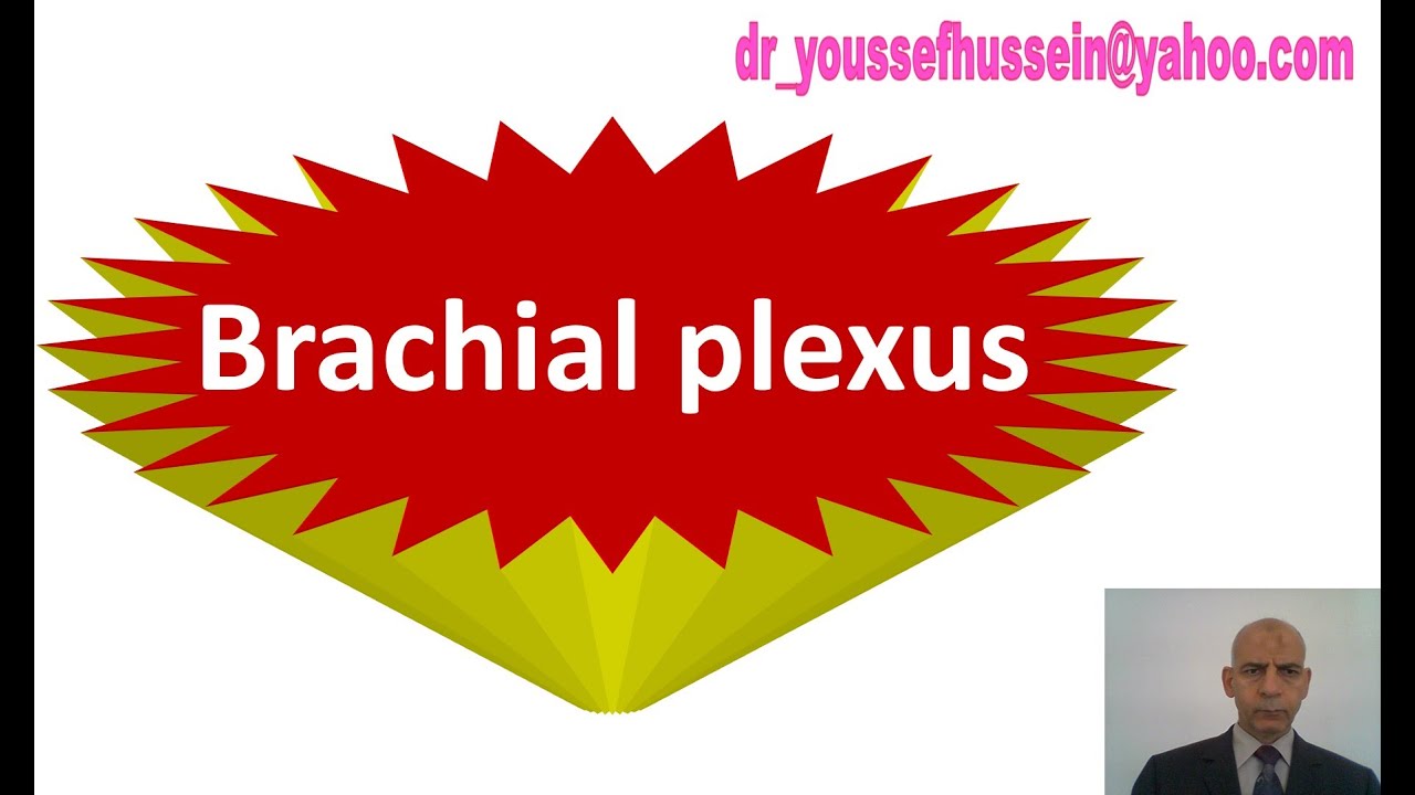 Brachial plexus | Injury | Erb,s paralysis | Policeman position | Klumpke,s paralysis | Claw hand