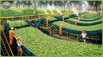 2025 Processing Lines on Another Level – Factories Produce Millions of Products Every Day