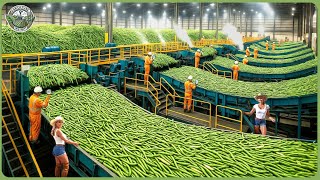 2025 Processing Lines on Another Level – Factories Produce Millions of Products Every Day