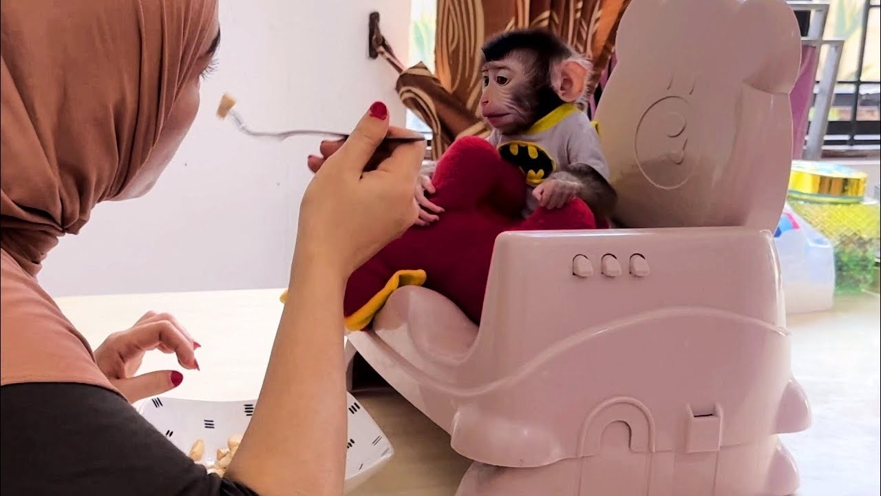 Baby Monkey Dino can't wait to taste mommy's cooking