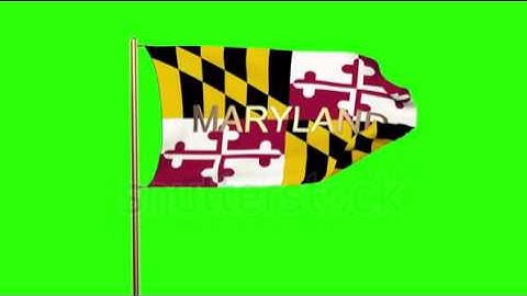 maryland flag with title waving in the wind. Looping sun rises style. Animation loop Stock video by