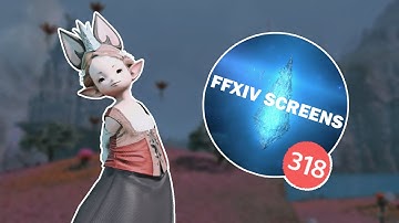 FFXIV Screenshot Discords be Like...