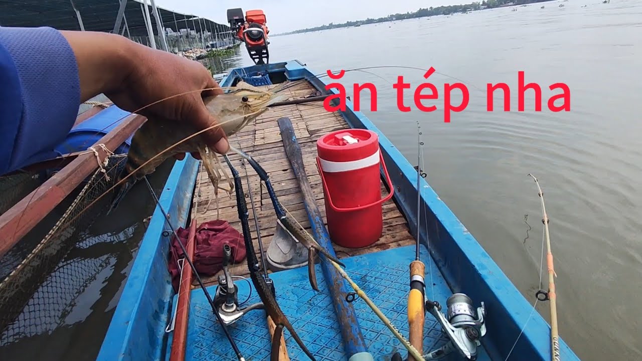 🤩🤩 Câu Tôm Bằng Nhiều Loại Mồi Và Kết Quả Khiến Bạn Bất Ngờ #cùlaotâyvlog