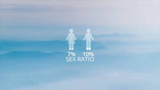 Infographics Pack | After Effects project | Videohive template