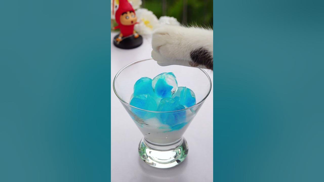 make-simple-soda-jelly-with-cat-chef-asmr-chef-cat-cooking-tik