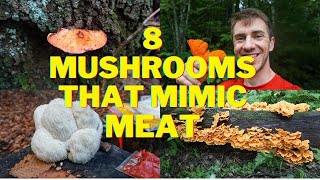 8 Wild Mushrooms that Mimic Meat!