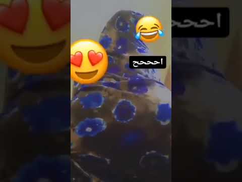 هز لوراكحوبارة انواكشوط صحراوية فيسه عفيفه هشام الصحراوية