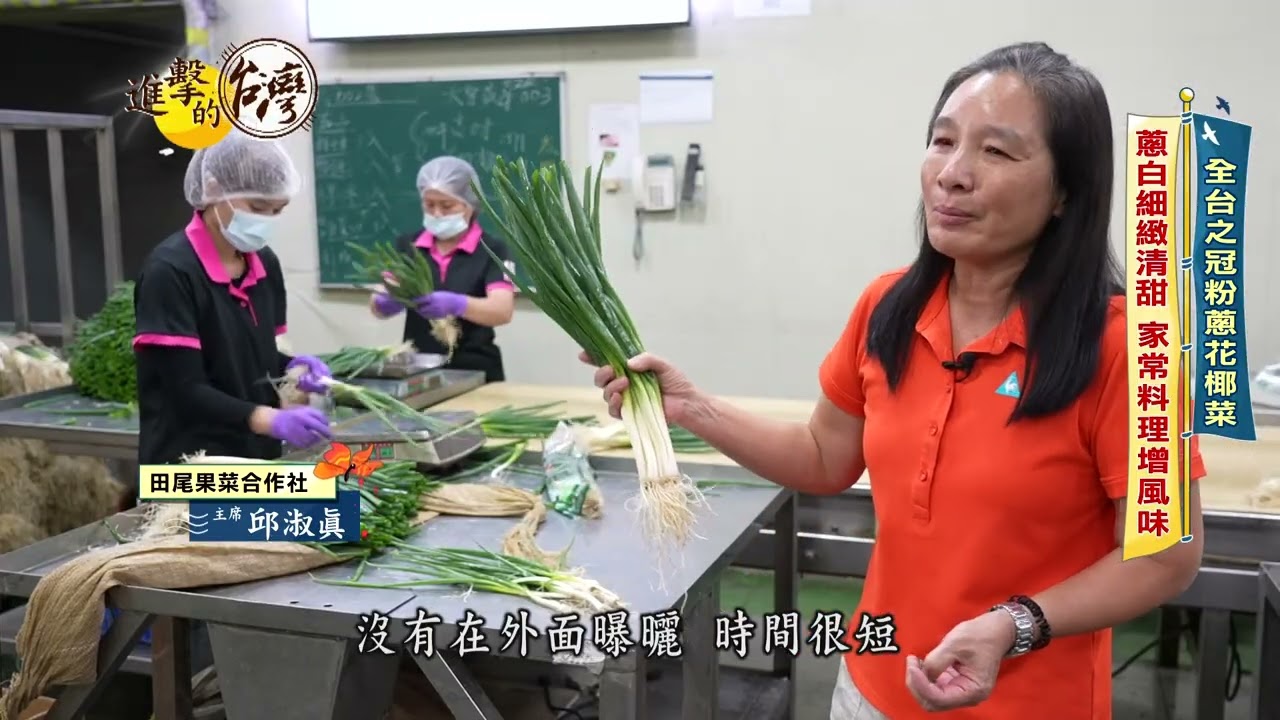 【進擊的台灣】全聯彰化粉蔥蔥白細緻清甜 白花椰菜花球緊密口感絕佳