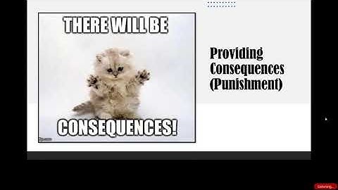 When the frequency of a behavior decreases following a negative stimuli punishment has occurred?