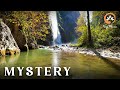 Beautiful Forest Birds Sounds with Relaxing Music | Nature for Peace &amp; Sleep