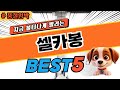 가격실화? 셀카봉 대박 가성비 베스트5!