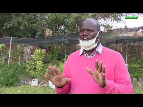 فسحة المساحات الخضراء بنواكشوط