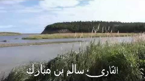 تلاوة جميلة من اؤاخر سورة التوبة بصوت القارئ سالم بن مبارك حصرياً