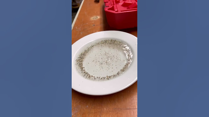 Garbage Disposal Impeller Blades Seized DIY! #diy #plumbing #plumber #disposal #garbagedisposal