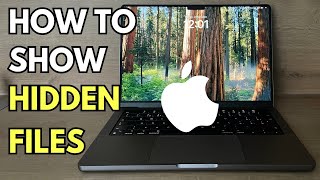 How to Show Hidden Files on Mac