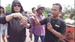 Bacakan - Andi Putra Live Gadel Tukdana IM - Video Full HD