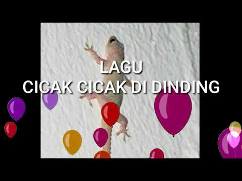 Lagu Anak | CICAK CICAK DI DINDING