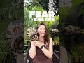 Why you’re ACTUALLY afraid of snakes 🐍