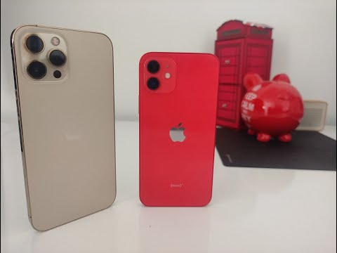 iPhone 12 and 12 Pro Max camera samples