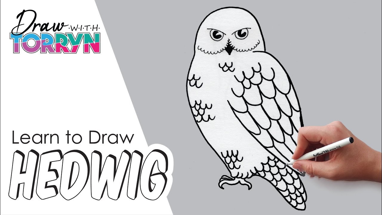 Learn How to Draw a Snowy Owl in Pen and Ink